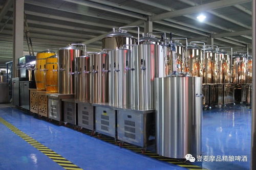 精釀啤酒設(shè)備產(chǎn)品構(gòu)造與電鍍成套設(shè)備的技術(shù)融合